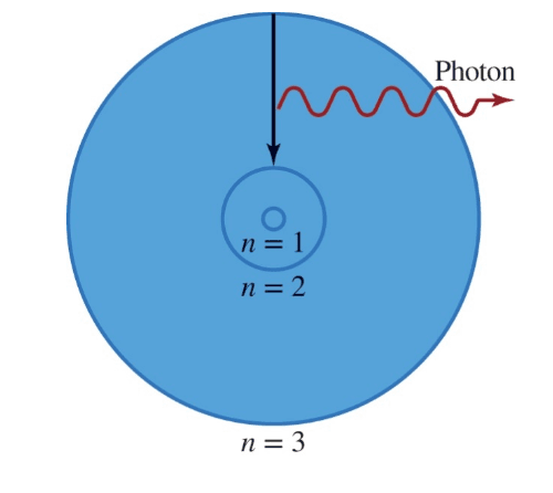 Bohr's Model of the Atom